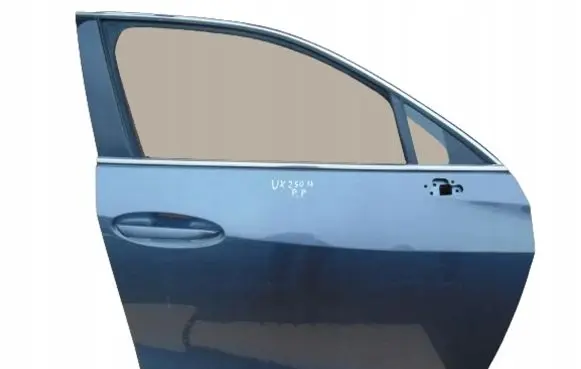 Lexus UX Front door