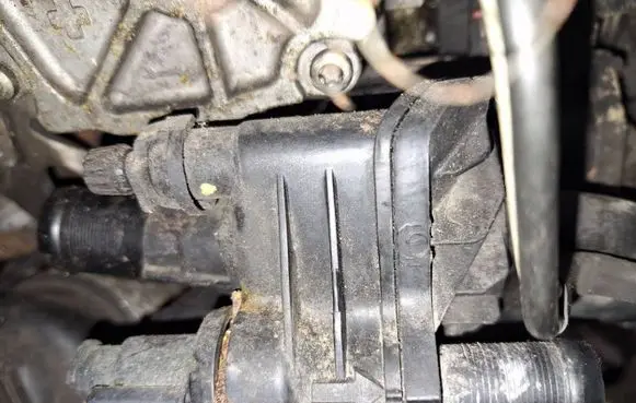 Ford Focus Engine coolant pipe/hose
