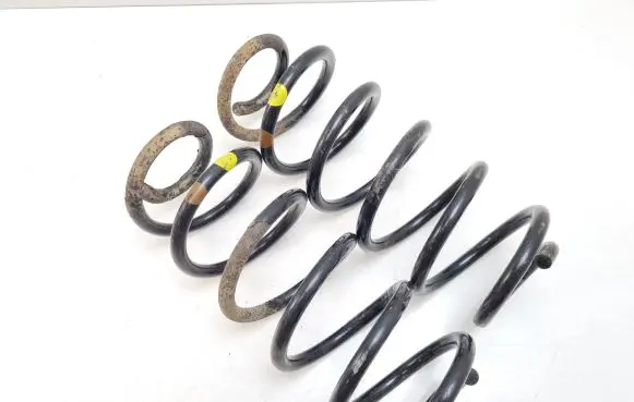 Volkswagen PASSAT B5.5 Rear coil spring