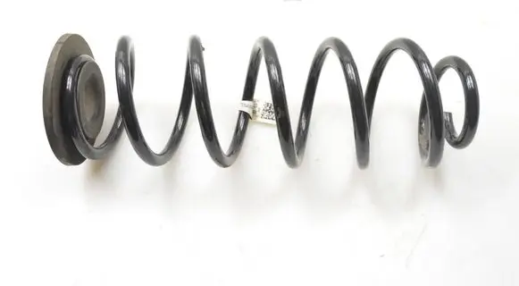 Rear coil spring