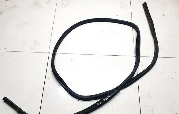 Nissan Leaf I (ZE0) Rubber seal front coupe door 