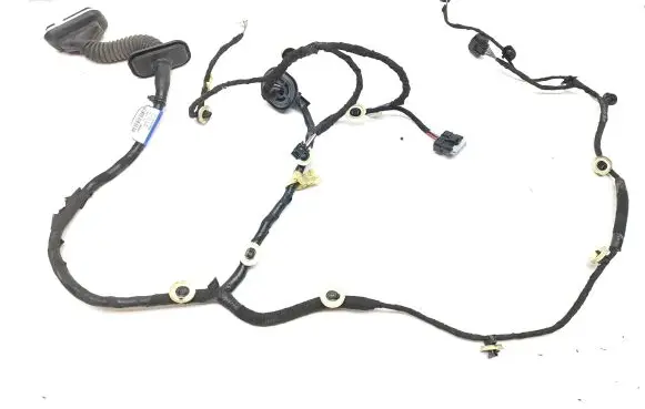 Rear door wiring loom