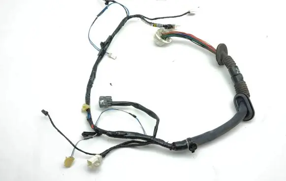 Front door wiring loom
