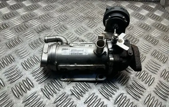 Opel Vivaro EGR valve cooler 8200611709 880255X 9190920028H