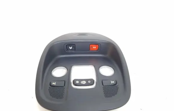 Citroen DS4 Front seat light 9688502077 9671973977