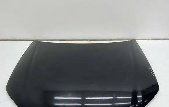 Engine bonnet/hood