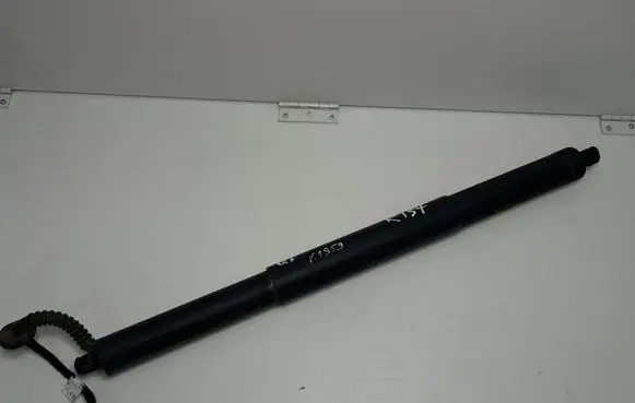 Tailgate/trunk strut/damper