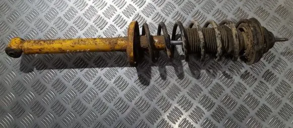 Rear shock absorber/damper