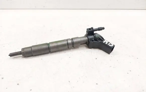 Mercedes-Benz R W251 Fuel injector A6420700587 0445115027