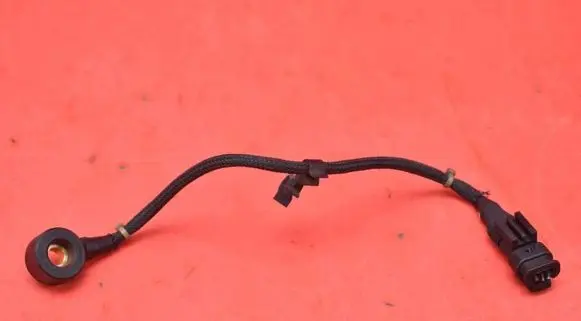 Sensor