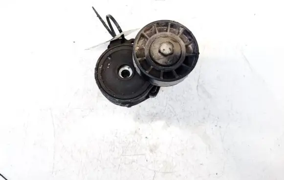 Peugeot 406 Generator/alternator belt tensioner