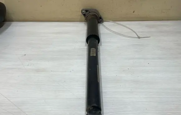 Porsche Panamera (971) Rear shock absorber/damper 971513035B