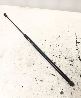 Tailgate/trunk strut/damper