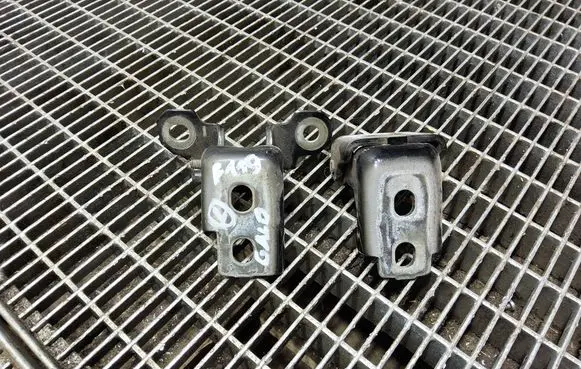 Renault Clio IV Rear door hinge set 