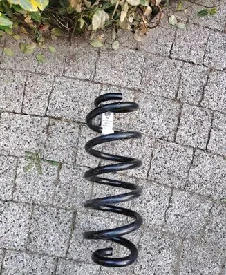 Ford Escape IV Rear coil spring LX615560NND