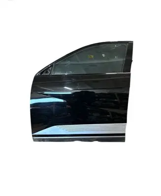 Hyundai Ioniq 5 Front door