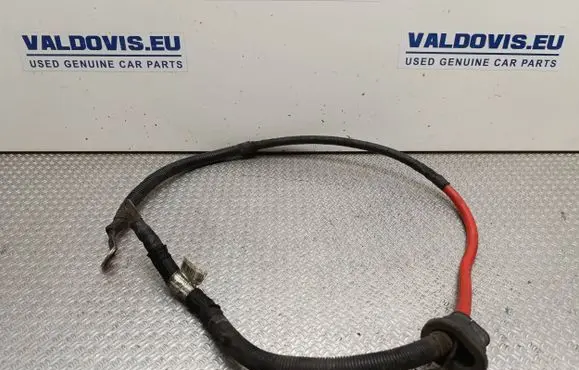 Fiat Ducato Positive cable (battery) 1374604080 65011919