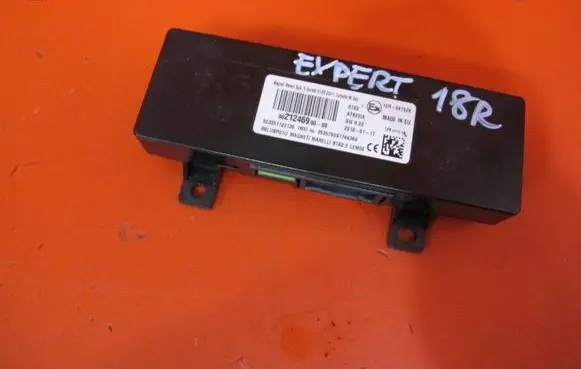 Peugeot Expert Other control units/modules 9821246980