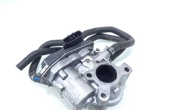 EGR valve