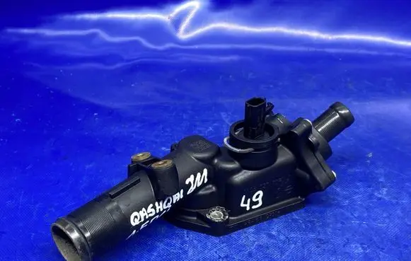 Nissan Qashqai Thermostat/thermostat housing 110602770R