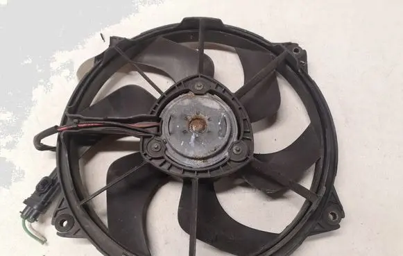 Citroen C4 I Picasso Electric radiator cooling fan 300000801