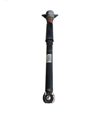 Audi A6 S6 C7 4G Rear shock absorber/damper 4G5513035C