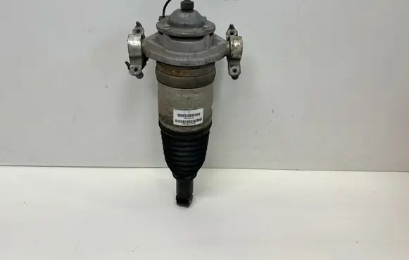 Porsche Cayenne (92A) Shock absorber/damper/air suspension 7P5616019AG 7P5616503AC