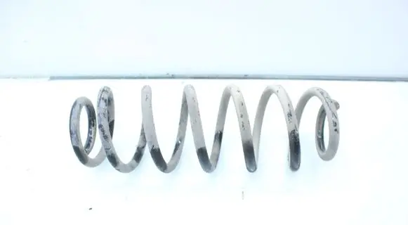 Rear coil spring