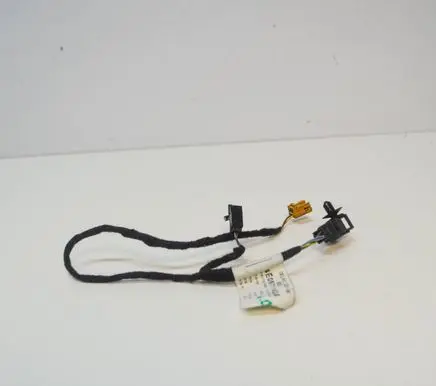 Other wiring loom