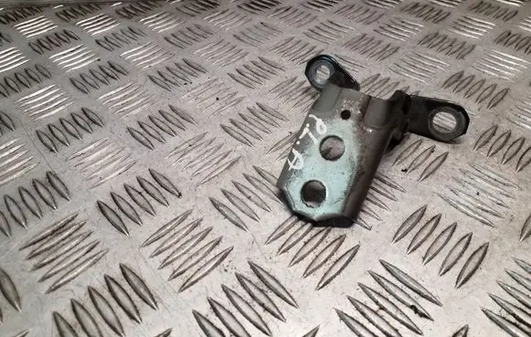 Nissan Juke I F15 Front door lower hinge 
