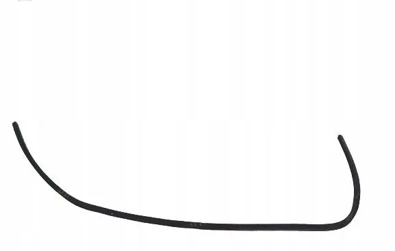 Dodge Challenger Rubber seal front door (on door)