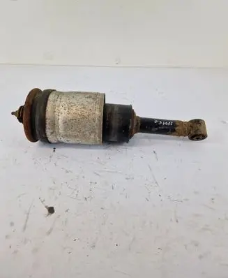 Rear shock absorber/damper