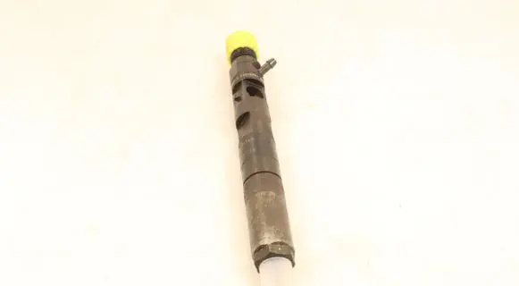 Renault Megane II Fuel injector EJBR01801Z