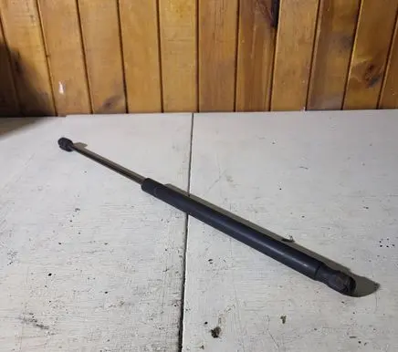 Tailgate strut
