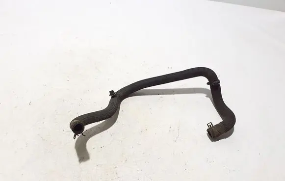 Renault Arkana Engine coolant pipe/hose 295M19466R