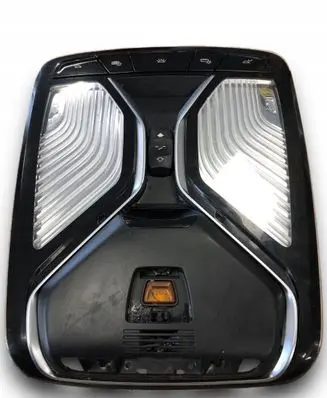 BMW X7 G07 Front seat light 9893169