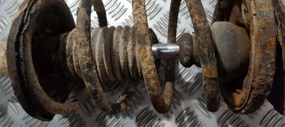 Front coil spring