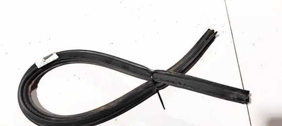 Citroen C5 Rubber seal front coupe door 