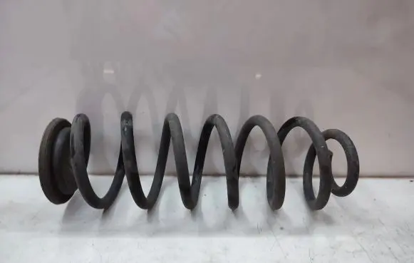 Volkswagen Tiguan Rear coil spring