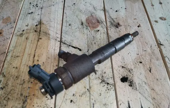 Citroen C3 Picasso Fuel injector 0445110340