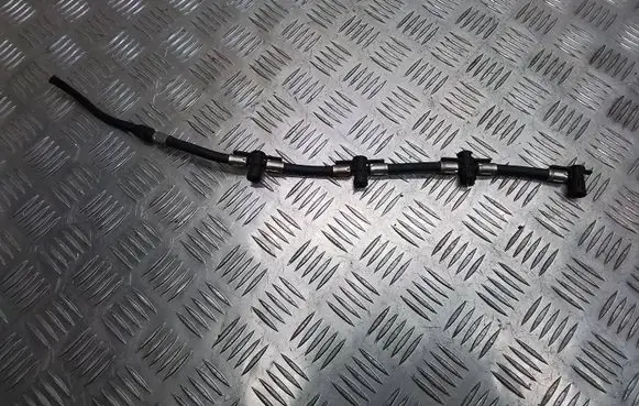 Hyundai Santa Fe Fuel injector supply line/pipe 