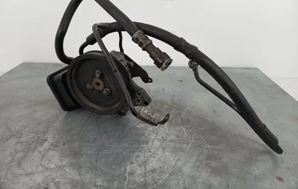 BMW 5 E39 Power steering pump 7787106 6756575