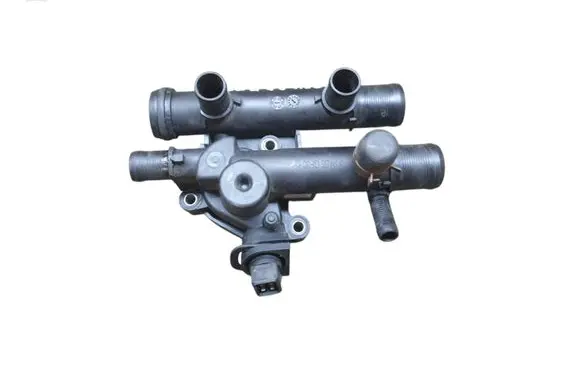 Thermostat/thermostat housing