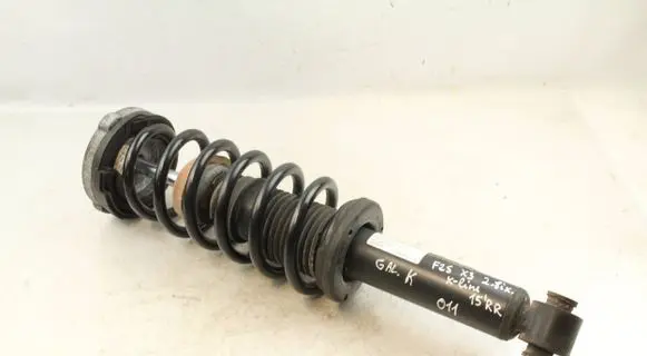 BMW X3 F25 Rear shock absorber with coil spring 6796317 33526796317