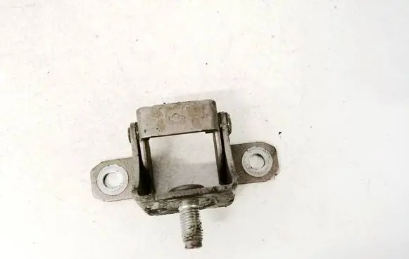 Rear door lower hinge