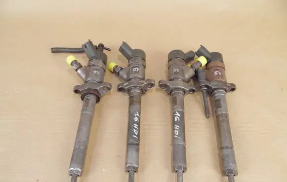 Citroen Berlingo Fuel injector 0445110259