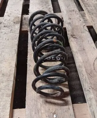 Rear coil spring