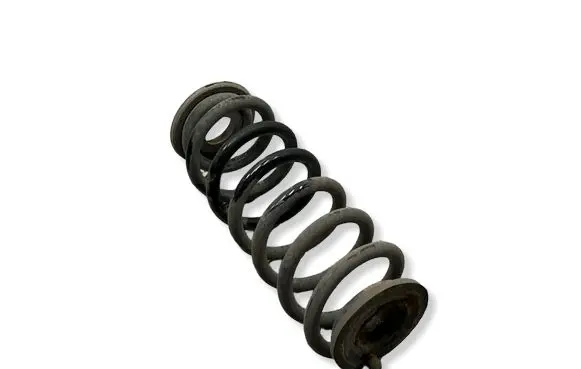 Volkswagen Sharan Rear coil spring 