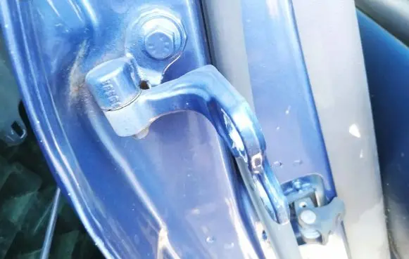 Ford Focus Rear door lower hinge