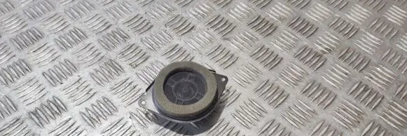 Panel speaker
